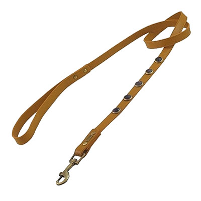 Pebble Faceted Amethyst Dog Leash_orig-min